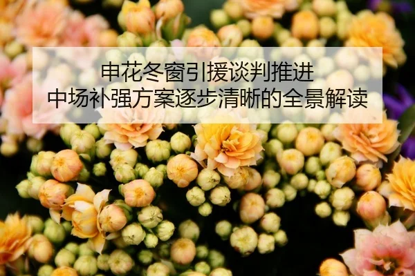 申花冬窗引援谈判推进 中场补强方案逐步清晰的全景解读