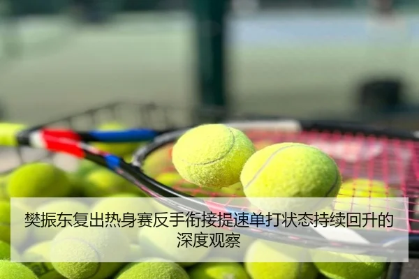 樊振东复出热身赛反手衔接提速单打状态持续回升的深度观察